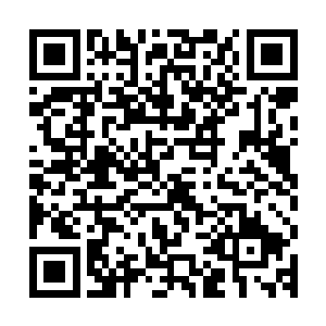 秘社大公当初的目标就是不惜一切代价建立一个属于自己的国家二维码生成
