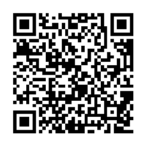 秘社组织的武装会以这个位置作为区域性支撑点二维码生成