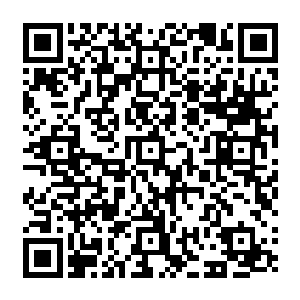 秦国……秦国的神卫府高手也来了……还有血魔宗那些隐秘宗门……都在玄界外等着二维码生成