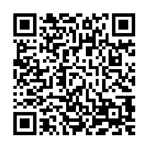 秦宇一边回忆起白所跟他介绍的这一次比较引人注目的几位天才二维码生成