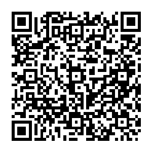 秦宇不知道是水桶内那十个孩子的血液被吸完了还是这石门内的某位存在已经吸饱了二维码生成