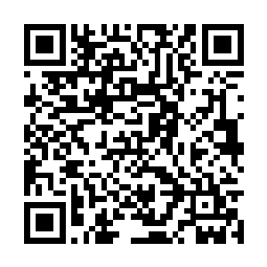 秦宇不知道白谨现在的实力已经是到了什么地步了二维码生成