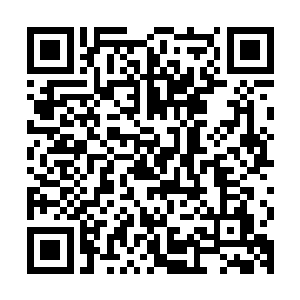 秦宇不知道这玉手到底在那六大种族的世界中搅动了怎样的风云二维码生成