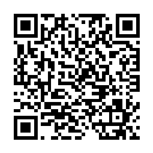 秦宇他们会不会也让这些老会员重复当初那批球迷走的路呢二维码生成