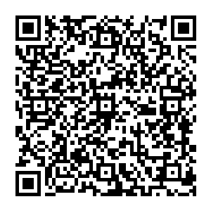 秦宇先是愣了一下随即低下头便是发现在自己的胸口处不知道什么时候多出了一个山峰的印记二维码生成