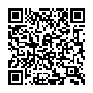 秦宇只得掏出手机准备给坦克打个电话过去询问二维码生成