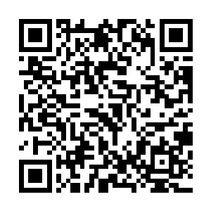 秦宇和马尔科姆出现在了伦敦大学在英国的另外一个学院内二维码生成