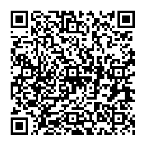 秦宇猜测是因为这件盔甲的原主人应该在这一支脉是一个挺有代表性或者说是挺有身份地位的一个二维码生成
