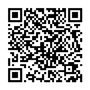 秦宇的两个手指离二哥的眼珠也就那么一线的距离二维码生成