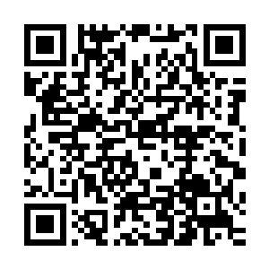 秦宝华和郁波现在正在沪上为经开区洽谈一个非常重要的项目二维码生成