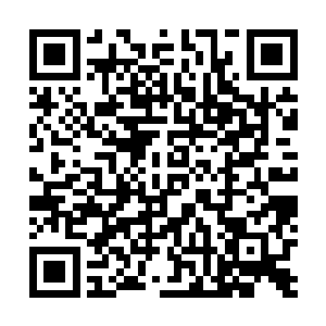 秦方一张脸都苦了起来……实在是有点对不住这家主人了二维码生成