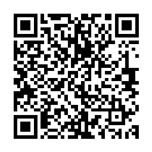 秦方也可以抽空查看一下那一只袭击了他们的海兽的真实身份了二维码生成
