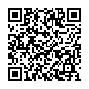 秦方也是非常仔细的在琢磨着这个计划的可行性二维码生成