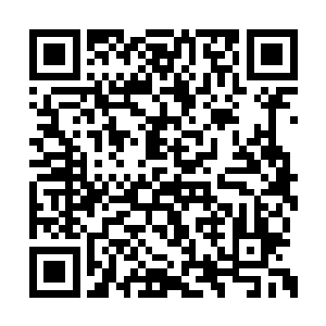 秦方便忍不住对这条狗丢了一个侦查技能过去了二维码生成