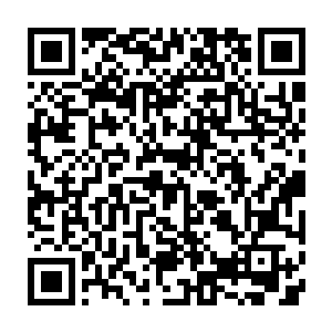 秦方却是嘴角处露出了些许阴森的笑容了……一道白影瞬间从他的指尖飞了出去二维码生成