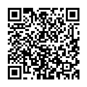 秦方只不过是任选其一罢了……而排除了秦方来时的那条通道二维码生成