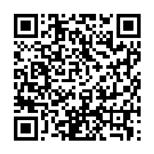 秦方就显得淡定许多了……明明强敌已经到了面前二维码生成