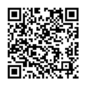 秦方的兽元金丹就没有什么作用了……秦方强力的催动二维码生成