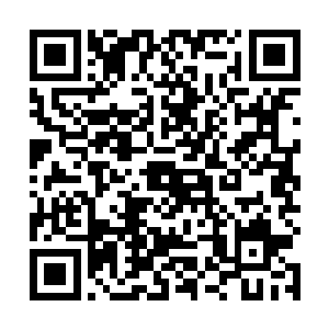 秦方的补血丹就要损失一部分……若是在这样下去的话二维码生成