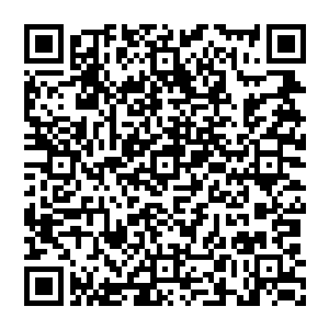 秦方立即想到了江湖中一种早已经失传了无数年的音波系的秘术……一种单靠声音就可以杀人的秘法二维码生成