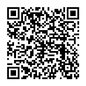 秦洛率领华夏中医代表团的数十团员前往皇家医学院进行交流访问二维码生成