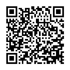 秦胜利觉得他糊涂了大半辈子的儿媳妇总算清醒了一次二维码生成