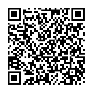 称对方一声前辈理所当然――但国教学院门口的年轻人们并不知道这一点二维码生成