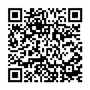程定旺和程家三兄弟以及周氏的三个儿子就踩着饭点儿回来了二维码生成