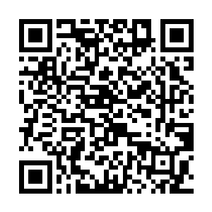 程立雪相信自己肯定会以自己的毅力和行动来争取的二维码生成