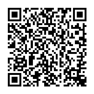 稳定四方的九大圣尊更是不能分出丝毫的精力来干预如今灵界所发生的种种二维码生成