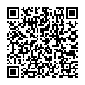 穆兰莎教授和她的管家机器人穆兰德在隔天一早准时来到穆根家门口二维码生成