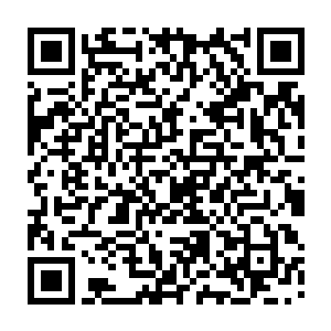 穆扬灵神思不属的照着母亲的吩咐把行李打包好了就把自己关在了书房里二维码生成