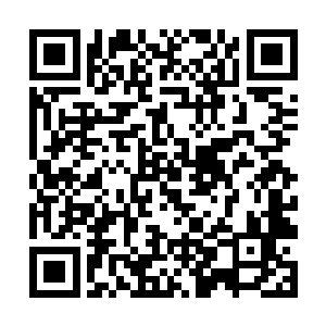 穆根小怪兽便很体贴的用尾巴将他抡到了自己肚皮上二维码生成