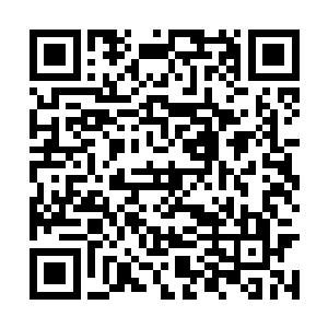 穆根连忙把自家的大毛巾从地上捡起来给他裹上了二维码生成