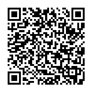 突然看到前面小巷有个满脸胡茬的大叔将一只奄奄一息的土狗给丢了进了垃圾堆二维码生成