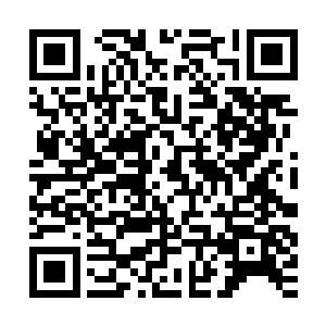 立刻他便是感觉到有着一种阴阳之力的波动融合在血煞枪芒之上二维码生成