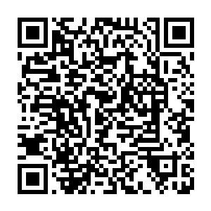 立刻对被禁锢在结界中愕然了情绪还没来得及有多余反应的妖王发出攻击二维码生成