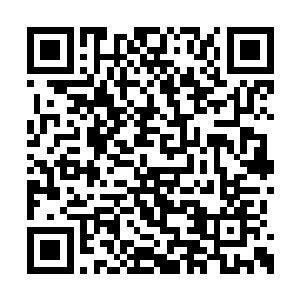 立刻将注意力转移到了禽皇所在的那片战场之上二维码生成