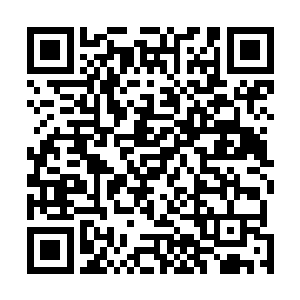 立刻用速度最快的传信鸟将这封密信送到王城的城主府中二维码生成