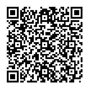 立即将秦方丢过来的这一颗青龙丹抓在了手中……顿时整个人就兴奋的像是吃了蜜糖似的二维码生成