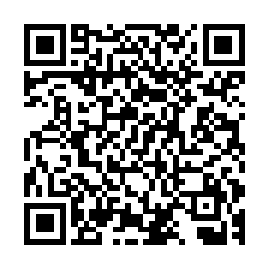 立即就将正常区域和异常区域的分界线十分清晰的标注了出来二维码生成