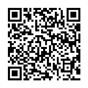 站在一边也不说话将一切交给明显比自己更沉着一些的夏殊处置二维码生成