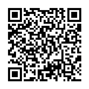 站在他身旁的一个修士立刻举起了一个巨大的旗幡当空一摇二维码生成