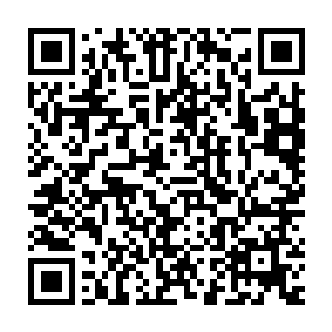 站在华樱树后的众修士虽然不敢动用神识去看木萦承受天雷的情况二维码生成