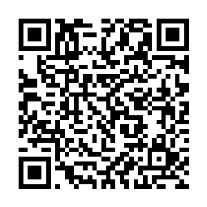 站在南梨国皇帝身边的大太监微微的垂着头站在一旁二维码生成