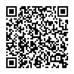 站在客厅的七八个人已经彻底明白这位归国的亿万富翁还肩负着什么样的职责了二维码生成