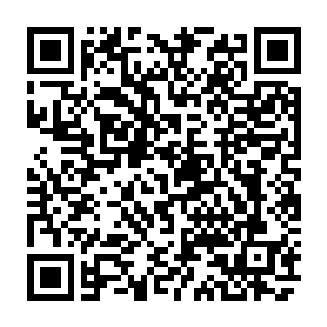 站在穆凡君左右的将主长孙居和大将军孟如亦齐齐朝樊将军目露询问神色二维码生成