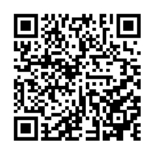 竟似是要亲自前往垂花门外用来待客的门房里迎人二维码生成