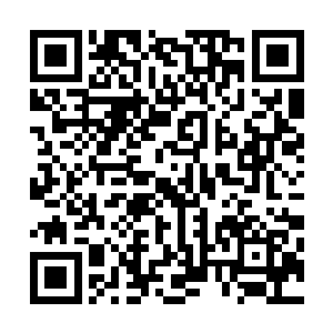 竟忘了用血饮九龙刀吸他们的精血让血饮九龙刀晋级为圣器二维码生成