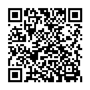 竟是在距离王城不到半个时辰路程的一处秘境中二维码生成